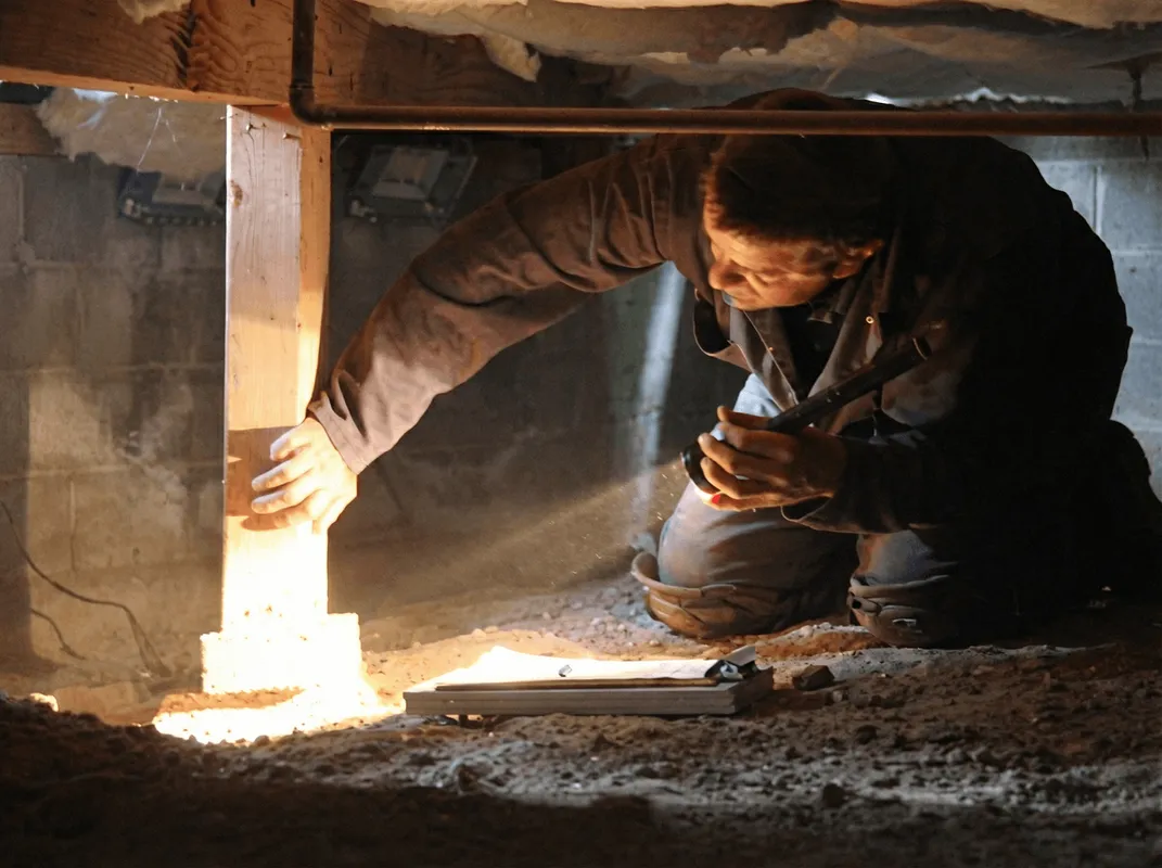 A professional inspecting wooden beams under the floor of a structure in Lakeland, FL